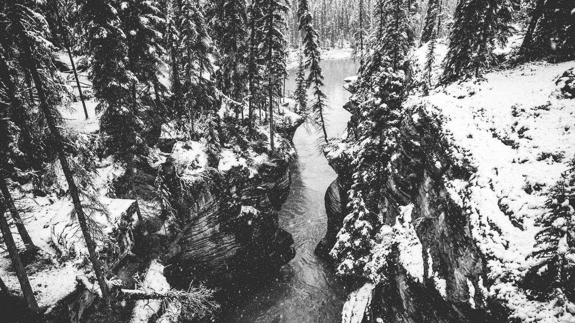 Rebbauverein Muttenz