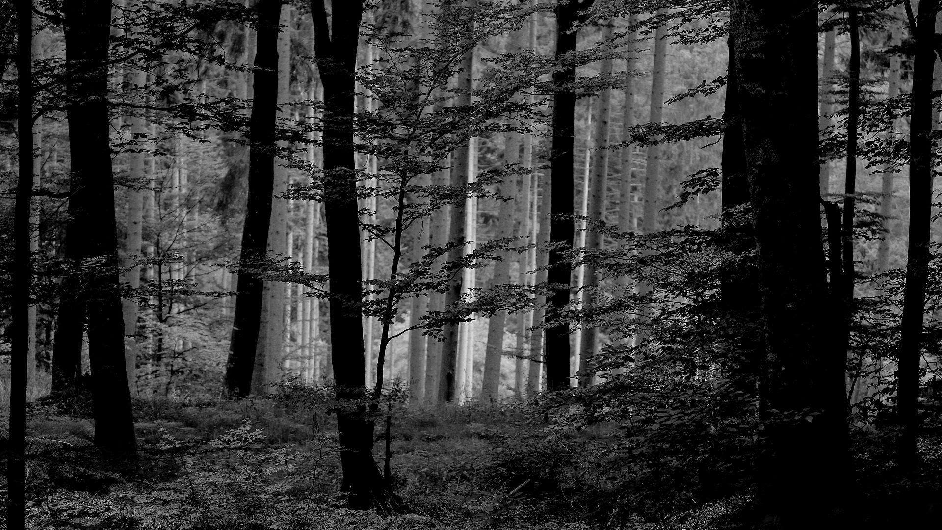 Rebbauverein Muttenz