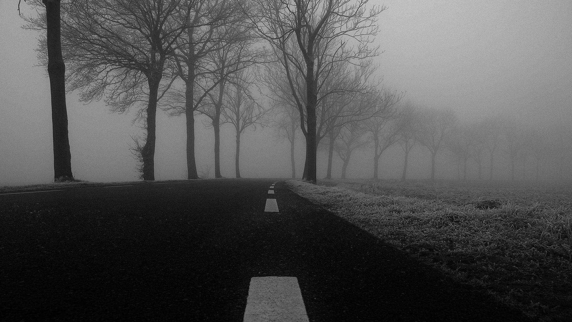 Rebbauverein Muttenz